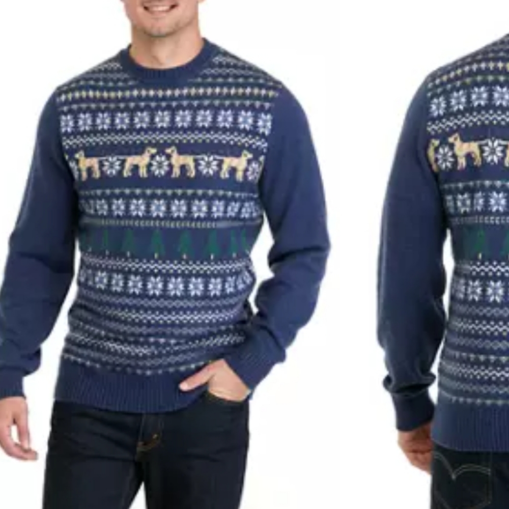 Crown & Ivy Men's Hound Fairisle Sweater Lambswool Small